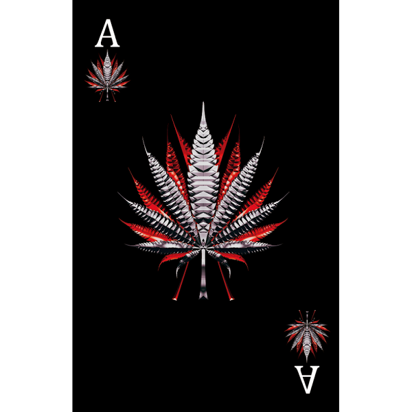 Imagen 37 Restaurant Pizzería Viena foto