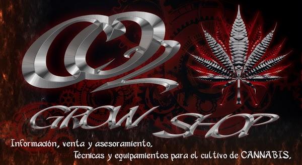 Imagen 6 Restaurant Pizzería Viena foto