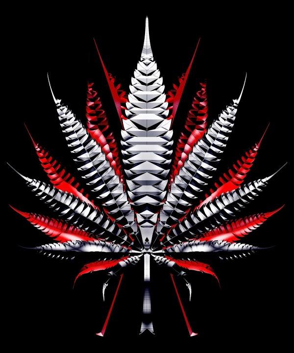 Imagen 57 Restaurant Pizzería Viena foto