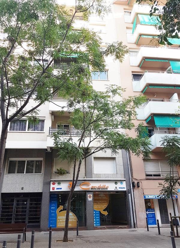 Imagen 45 Lumineers Sevilla foto