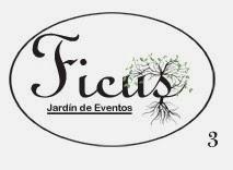 Imagen 7 Ficus foto