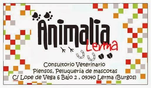 Imagen 34 Tasca I Vins foto