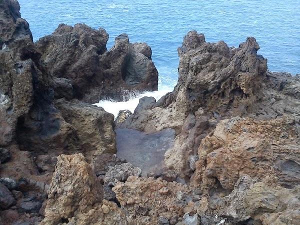 Imagen 40 Costa Azul Consulting Tenerife foto