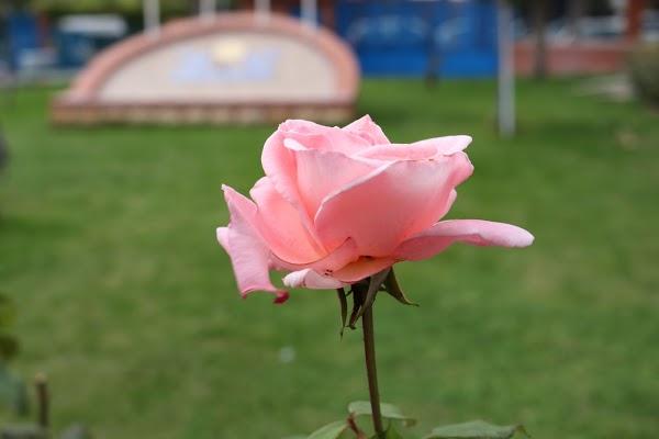 Imagen 8 Costa Azul Consulting Tenerife foto