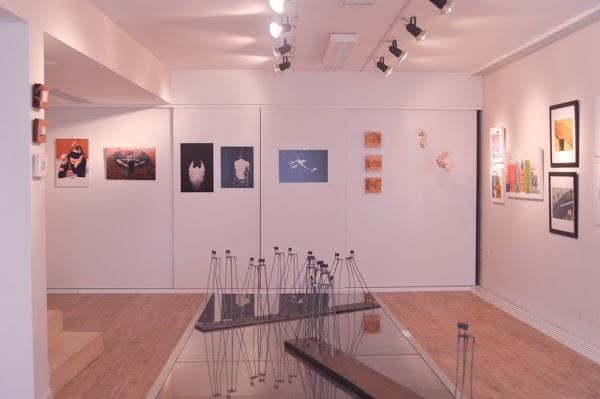 Imagen 105 ESPACIO PARA EL ARTE SILVIA ANEL foto