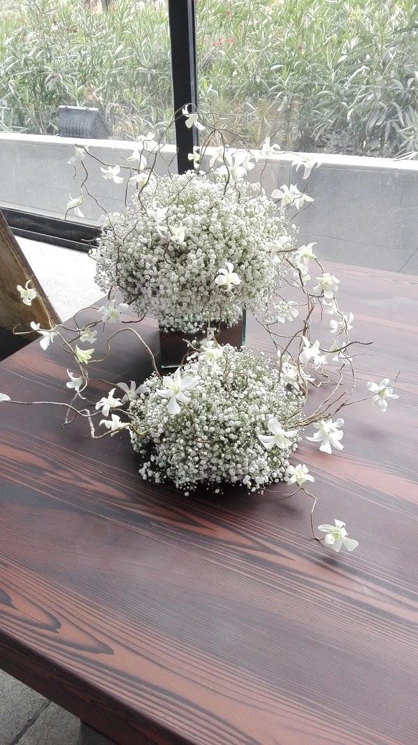 Imagen 15 Parrots Sitges Hotel foto