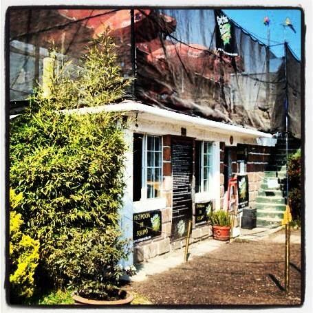 Imagen 19 Parrots Sitges Hotel foto