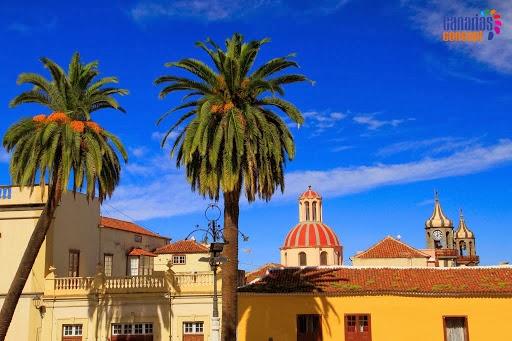 Imagen 23 SUELPU, S.L. foto