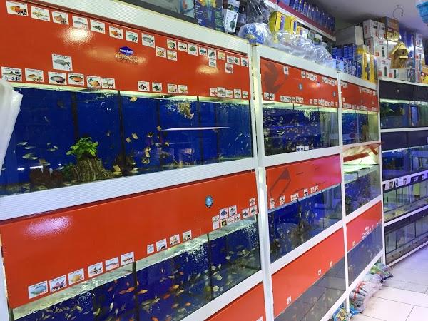 Imagen 31 Comercial Veterinaria foto