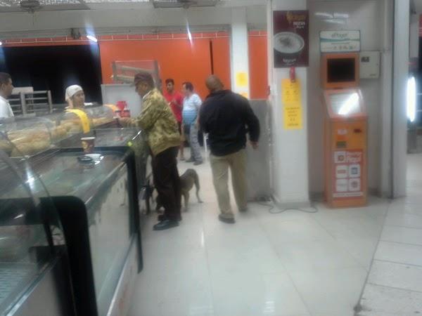 Imagen 2 Contenedores Parque S L foto