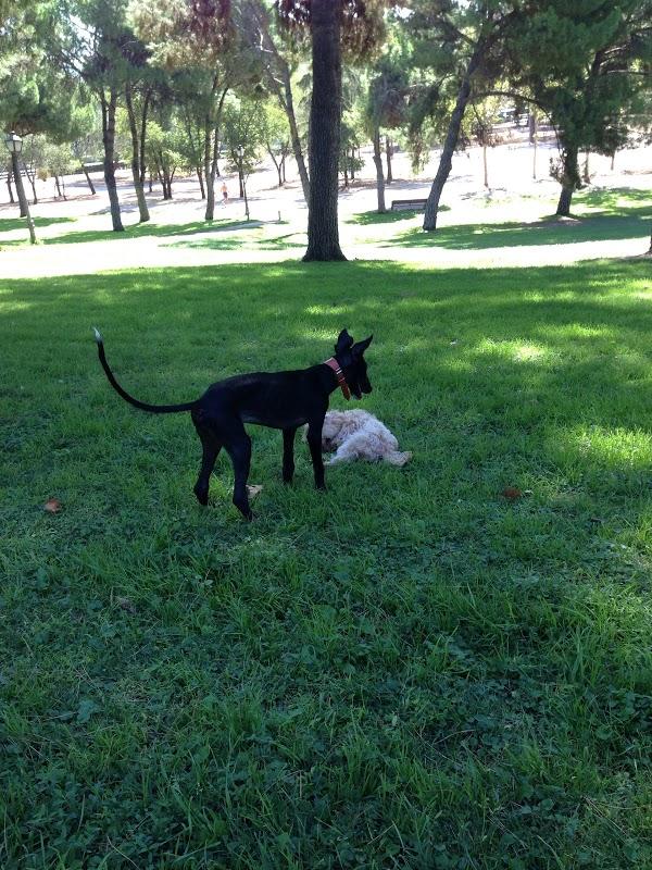 Imagen 7 cesar construcciones foto