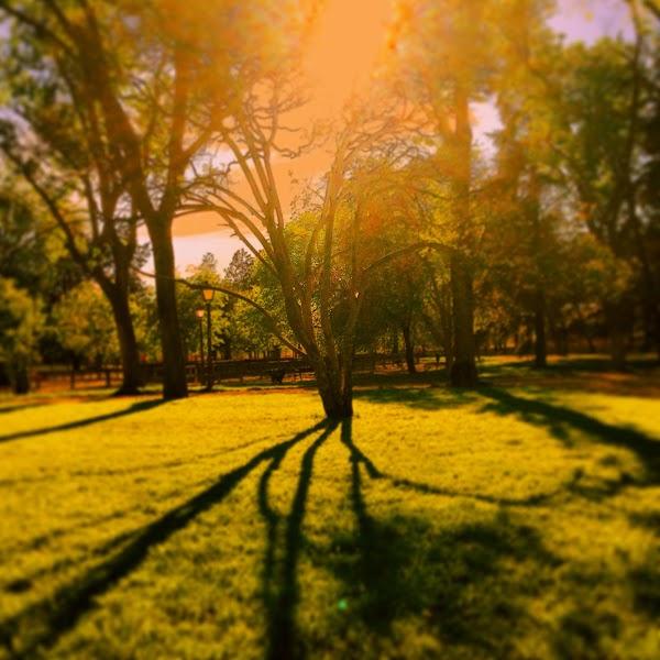 Imagen 8 cesar construcciones foto