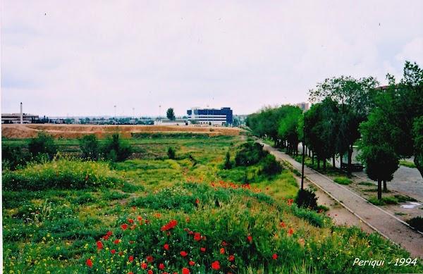 Imagen 9 cesar construcciones foto