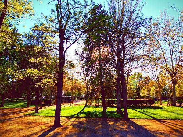 Imagen 10 cesar construcciones foto