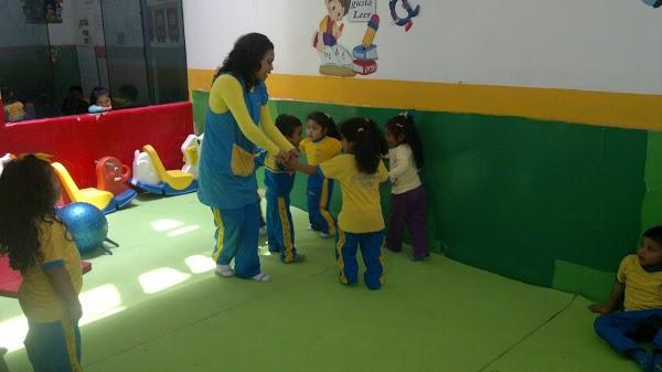 Imagen 2 Calimax Florido foto