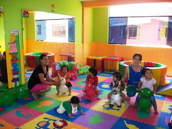 Imagen 3 Calimax Florido foto