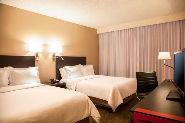 Imagen 16 FISIOTERAPIA MONTEREAL foto