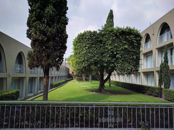 Imagen 28 FISIOTERAPIA MONTEREAL foto