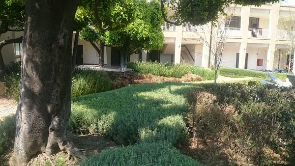 Imagen 30 FISIOTERAPIA MONTEREAL foto