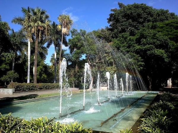 Imagen 11 Bar Curro foto