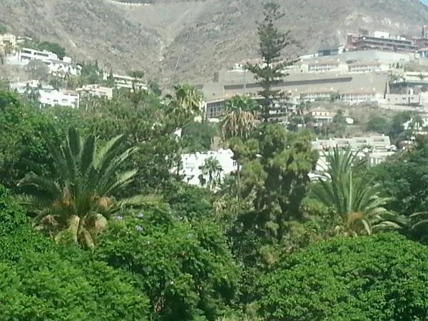 Imagen 13 Bar Curro foto