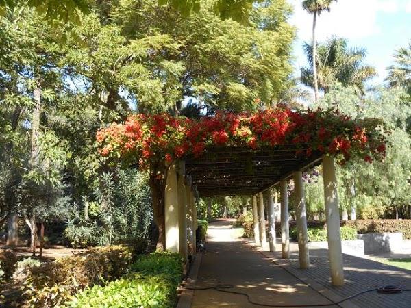 Imagen 18 Bar Curro foto