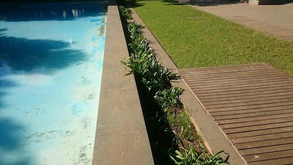 Imagen 19 Bar Curro foto