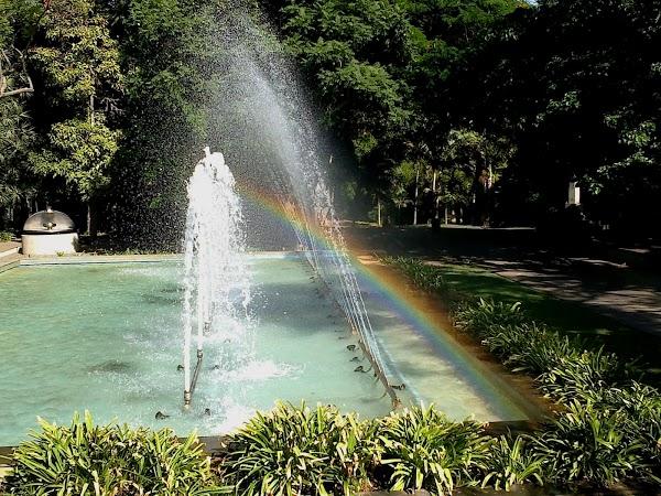 Imagen 24 Bar Curro foto