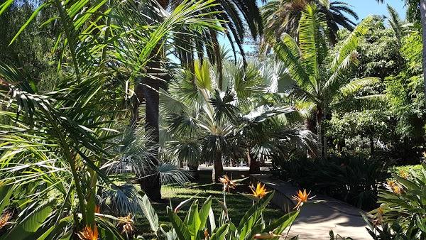 Imagen 27 Bar Curro foto