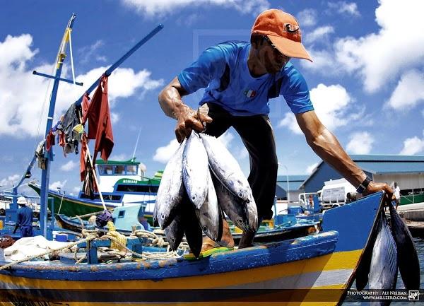 Imagen 13 Hotel Atton El Bosque foto