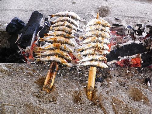 Imagen 16 Hotel Atton El Bosque foto