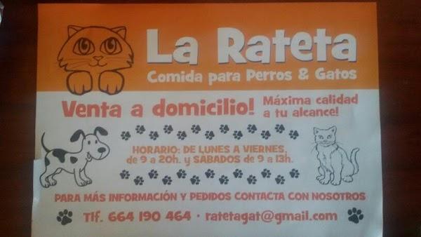 Imagen 30 Hotel Atton El Bosque foto