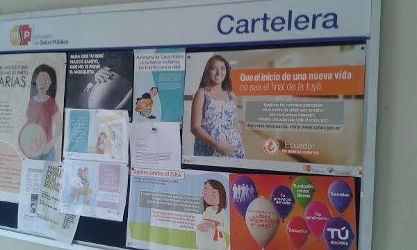 Imagen 71 LA RATETA GAT foto