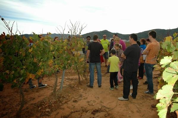 Imagen 20 Escuela Oficial de Idiomas Eoi Vitoria foto