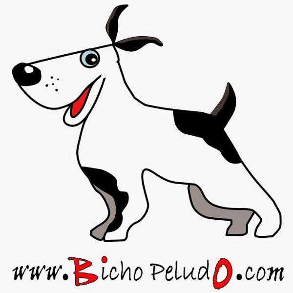 Imagen 21 Escuela Oficial de Idiomas Eoi Vitoria foto