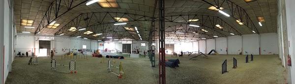 Imagen 30 Escuela Oficial de Idiomas Eoi Vitoria foto