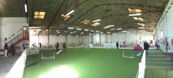 Imagen 32 Escuela Oficial de Idiomas Eoi Vitoria foto