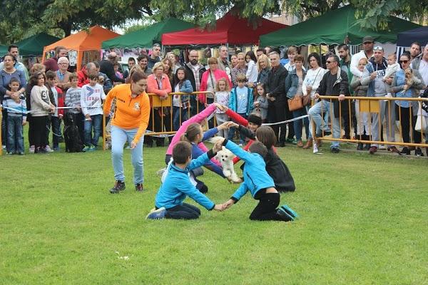 Imagen 33 Escuela Oficial de Idiomas Eoi Vitoria foto