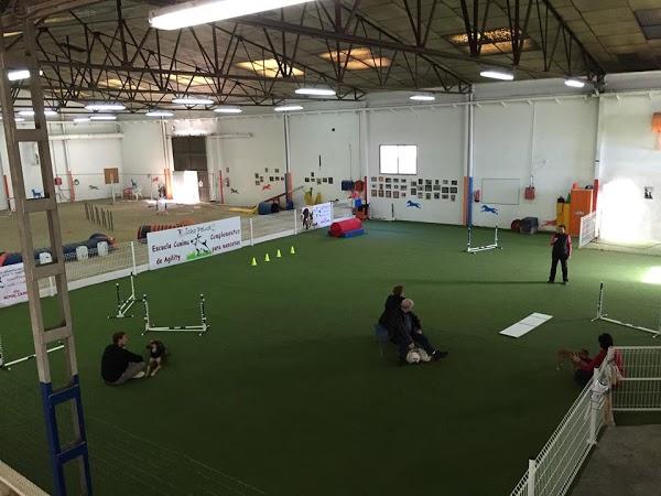 Imagen 34 Escuela Oficial de Idiomas Eoi Vitoria foto