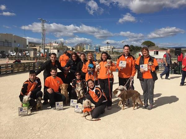 Imagen 35 Escuela Oficial de Idiomas Eoi Vitoria foto