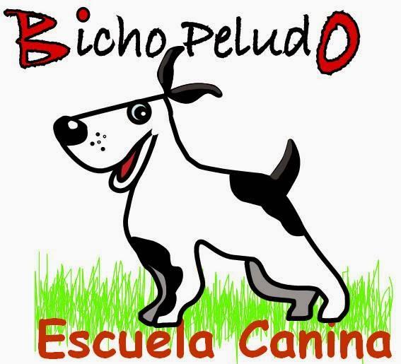 Imagen 36 Bicho Peludo. Escuela Canina. Valencia foto
