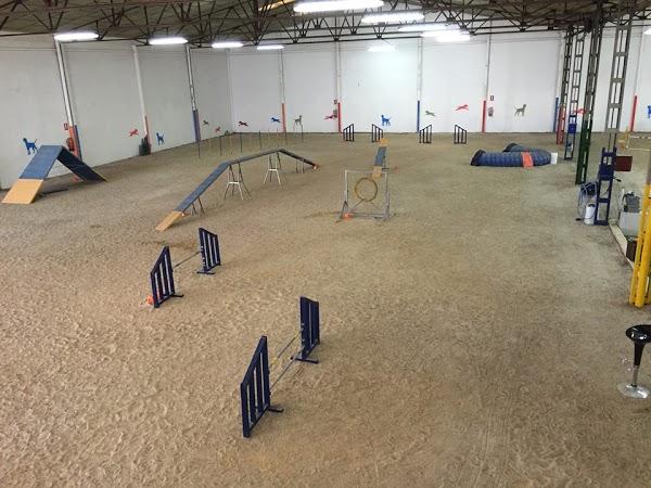 Imagen 37 Escuela Oficial de Idiomas Eoi Vitoria foto