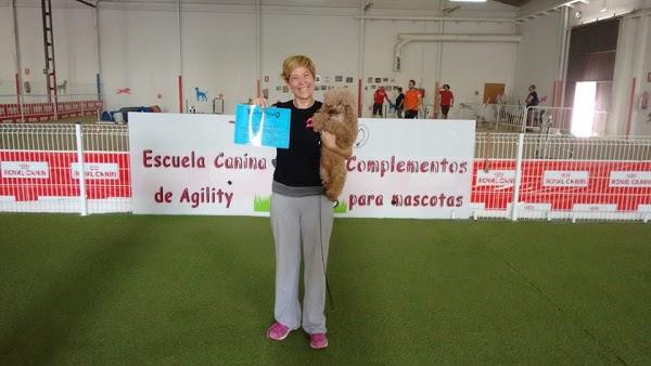 Imagen 38 Escuela Oficial de Idiomas Eoi Vitoria foto