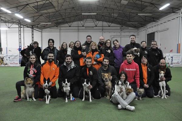 Imagen 39 Escuela Oficial de Idiomas Eoi Vitoria foto