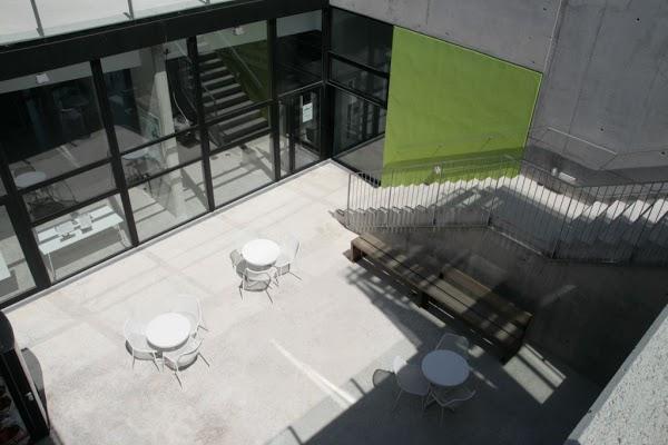 Imagen 12 Gus y Gus foto