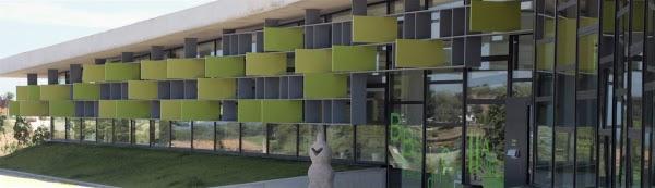 Imagen 13 Gus y Gus foto