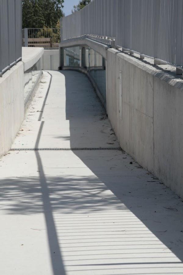 Imagen 14 Gus y Gus foto