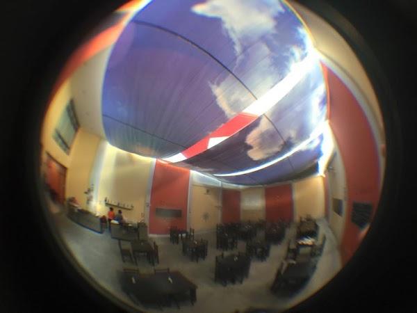 Imagen 42 Gus y Gus foto