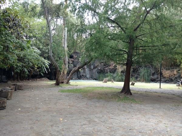 Imagen 32 Parque de los Novios foto