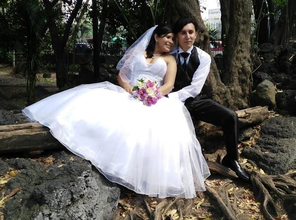 Imagen 39 Parque de los Novios foto